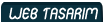 Web tasarım